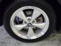 2009 Mustang V6 Convertible #5 2009 Mustang V6 Convertible #5