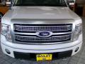 2010 F150 Platinum SuperCrew 4x4 #1