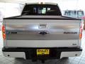 2010 F150 Platinum SuperCrew 4x4 #6