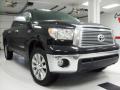 2010 Tundra Platinum CrewMax 4x4 #1
