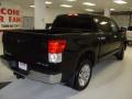 2010 Tundra Platinum CrewMax 4x4 #5
