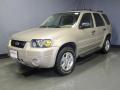 2007 Escape XLT V6 4WD #1