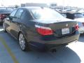 2008 5 Series 550i Sedan #4