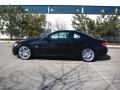 2010 3 Series 335i Coupe #2