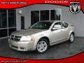 2009 Avenger SXT #1 2009 Avenger SXT #1
