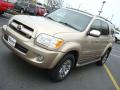 2007 Sequoia Limited #10