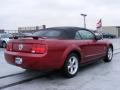 2006 Mustang V6 Premium Convertible #8