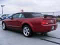 2006 Mustang V6 Premium Convertible #10