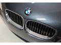 2008 5 Series 528i Sedan #14