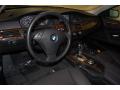 2008 5 Series 528i Sedan #18