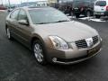 2005 Maxima 3.5 SL #6