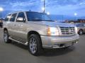 2004 Escalade AWD #11