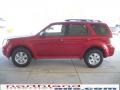 2010 Mariner I4 4WD #5