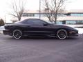 2002 Firebird Coupe #4