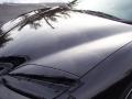 2002 Firebird Coupe #19