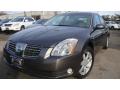 2004 Maxima 3.5 SL #1