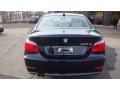 2008 5 Series 528xi Sedan #16