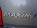 2000 Maxima GLE #10