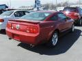 2007 Mustang V6 Premium Coupe #3