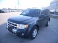2009 Escape Limited V6 #7