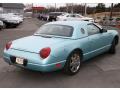 2002 Thunderbird Premium Roadster #5