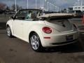 2007 New Beetle 2.5 Convertible #4