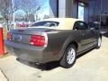 2005 Mustang V6 Deluxe Convertible #16 2005 Mustang V6 Deluxe Convertible #16