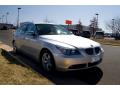 2007 5 Series 530i Sedan #8