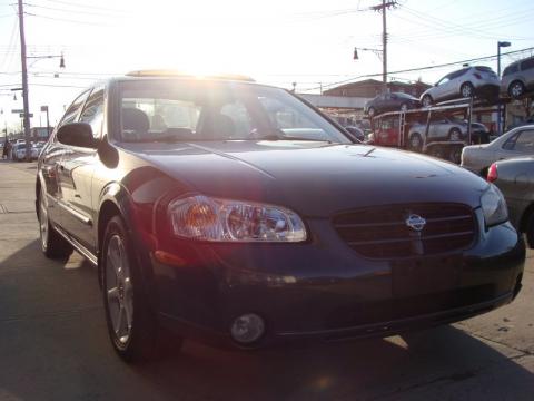 Gray Lustre Metallic Nissan Maxima GXE.  Click to enlarge.