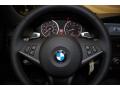 2010 5 Series 535i Sedan #32