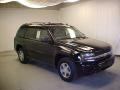 2006 TrailBlazer LS 4x4 #1