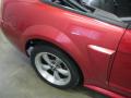 2001 Mustang GT Convertible #28