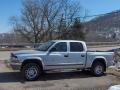 2002 Dakota SLT Quad Cab 4x4 #8