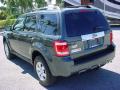 2009 Escape Limited V6 #6
