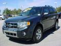 2009 Escape Limited V6 #8
