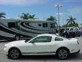 2010 Mustang V6 Premium Coupe #6