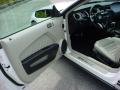 2010 Mustang V6 Premium Coupe #9