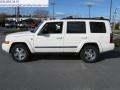 2010 Commander Sport #1