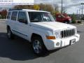2010 Commander Sport #6