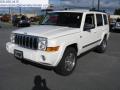 2010 Commander Sport #7