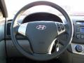2010 Elantra GLS #18