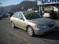 2009 Azera GLS #18