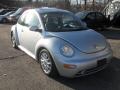 2004 New Beetle GLS Coupe #3