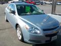 2008 Malibu LS Sedan #1