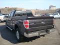 2010 F150 Lariat SuperCrew 4x4 #5