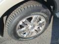 2007 Explorer Eddie Bauer 4x4 #12