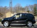 2009 ML 350 4Matic #3