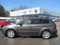 2008 Tribeca Limited 5 Passenger #2