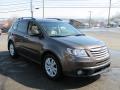 2008 Tribeca Limited 5 Passenger #4