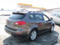 2008 Tribeca Limited 5 Passenger #11
